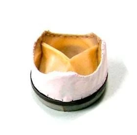 Biological Heart Valve Prosthesis "MEDINJ-BIO" (Mitral Valve)