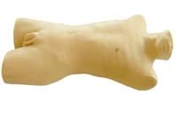 Bone Marrow Aspiration Training Simulator, CK816/CS6233