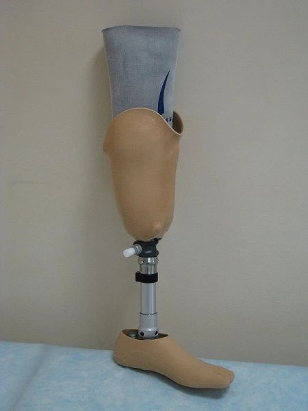 Modular Bathing Prosthesis for Lower Leg