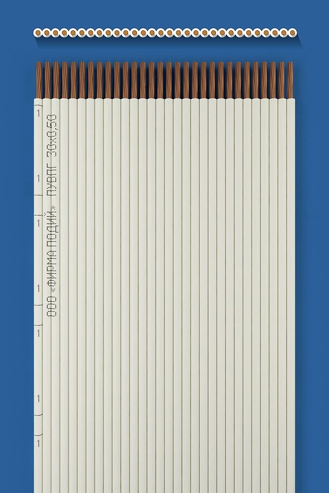 Flat Installation Wire PUVPG 30x0.50