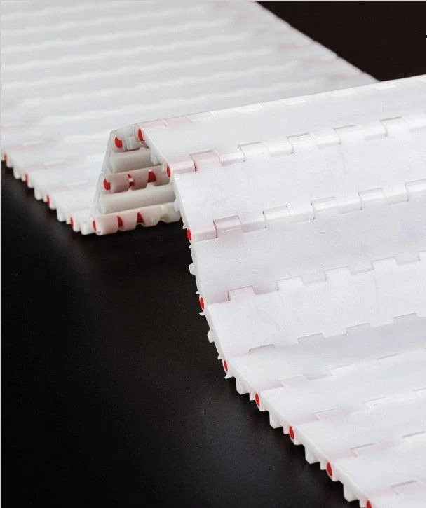 حزام ناقل معياري ML2580 PE (xx X xx مم؛ دبوس PE؛ مشابك)