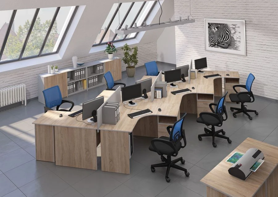 Ergonomic Office Furniture Collection "BUDGET