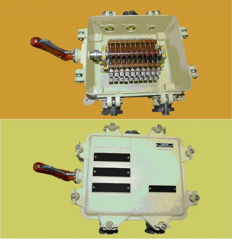P and PT Switches for Electrical Circuits - OST5R.8209-72