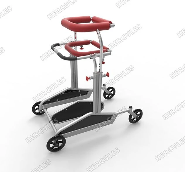 Dynamic Verticalizer A-504 for Enhanced Mobility