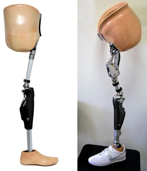 Modular Microprocessor-Controlled Hip Disarticulation Prosthesis