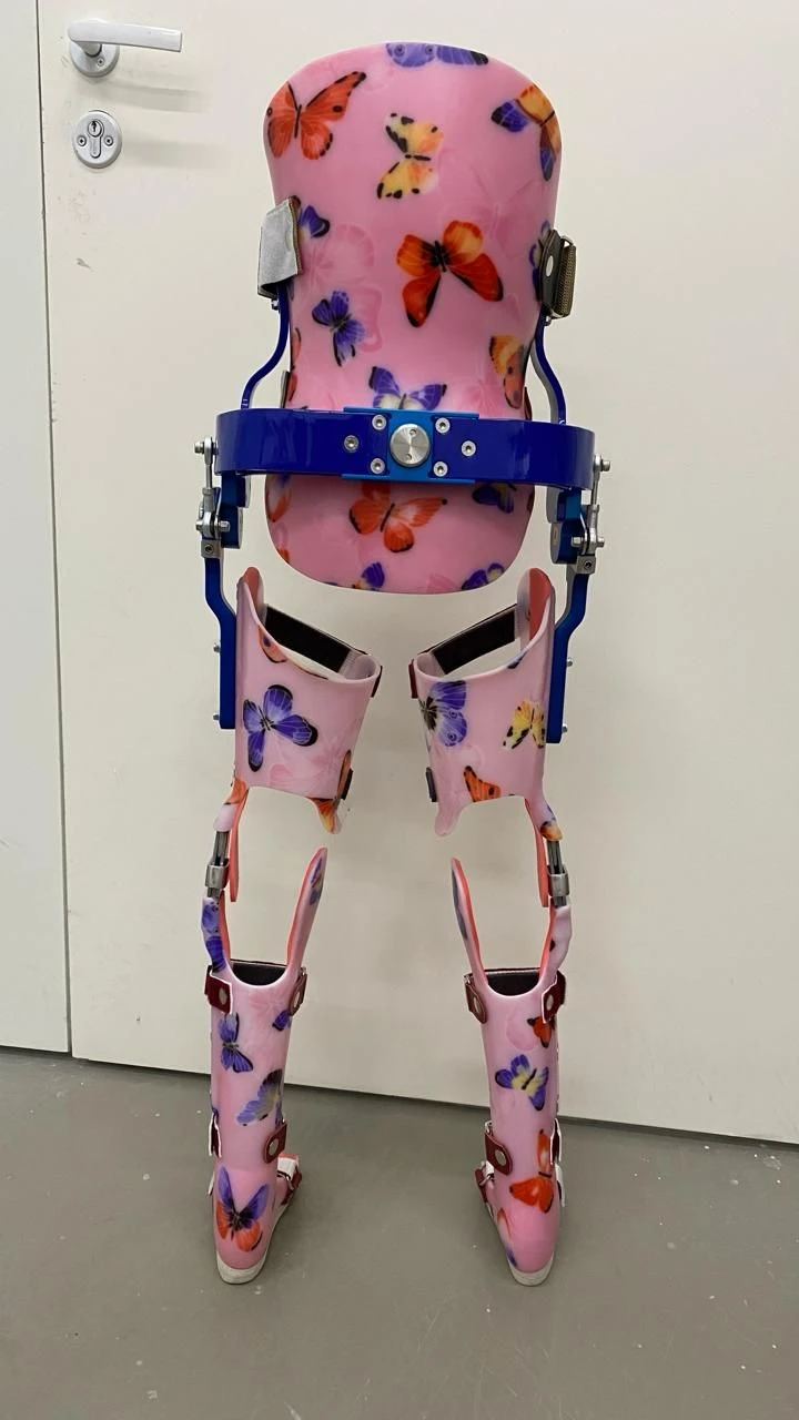 Lower Limb and Torso Apparatus with Reciprocal Gait System