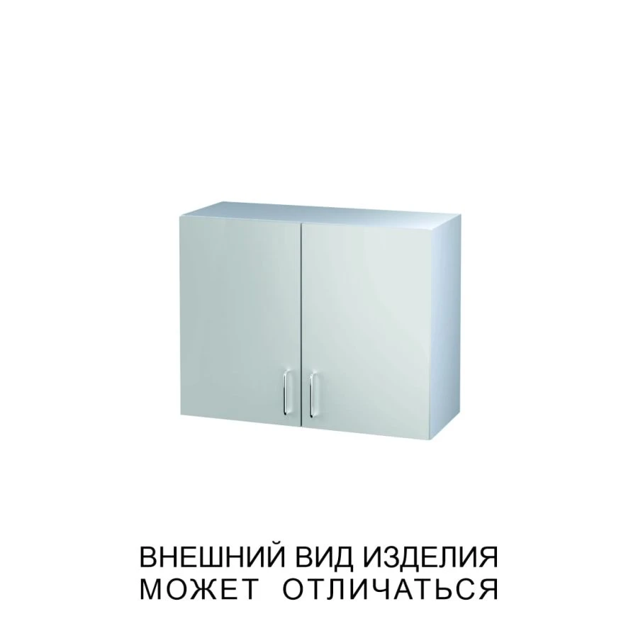 Wall-Mounted Two-Door Cabinet with Solid Doors