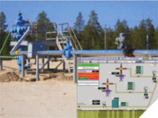Automated Control and Management System for Gas Well Bushes