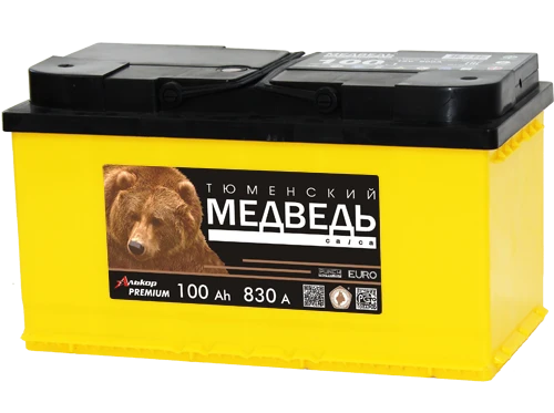 بطارية رصاصية لبدء محركات الاحتراق الداخلي 12 فولت 100 أمبير دب تيومن