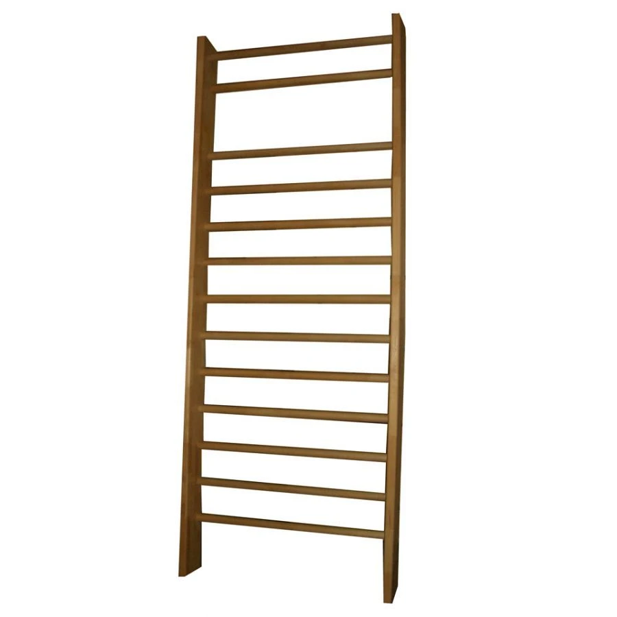 Swedish Wall for General Physical Training: I CAN!