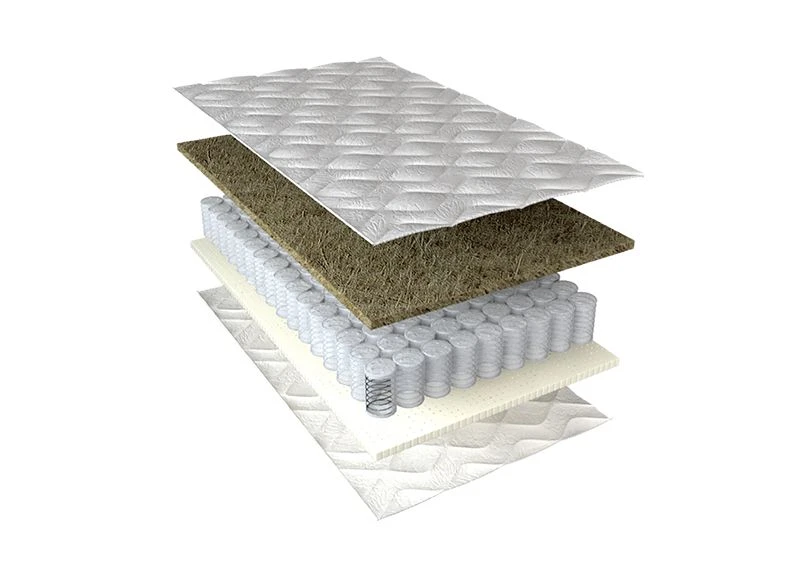 مرتبة أناتومية ميلينيوم-فافروريت