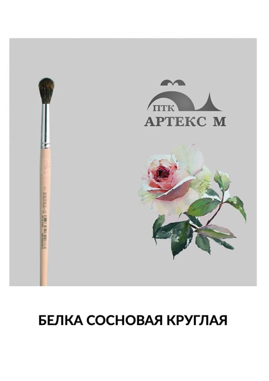 Natural Squirrel Hair Paint Brush - Round