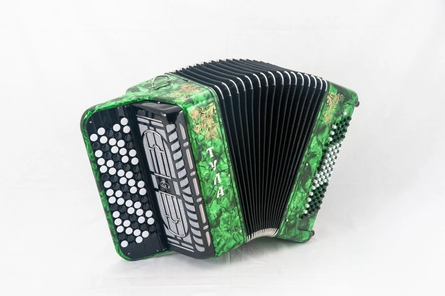 Tula Children's Student Button Accordion 77/46×80-II