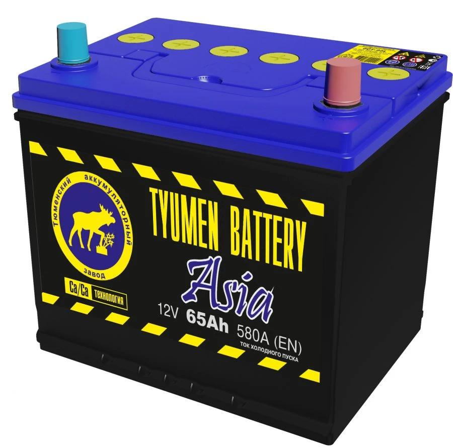 Lead Starter Battery TYUMEN BATTERY 6ST-65LR ASIA
