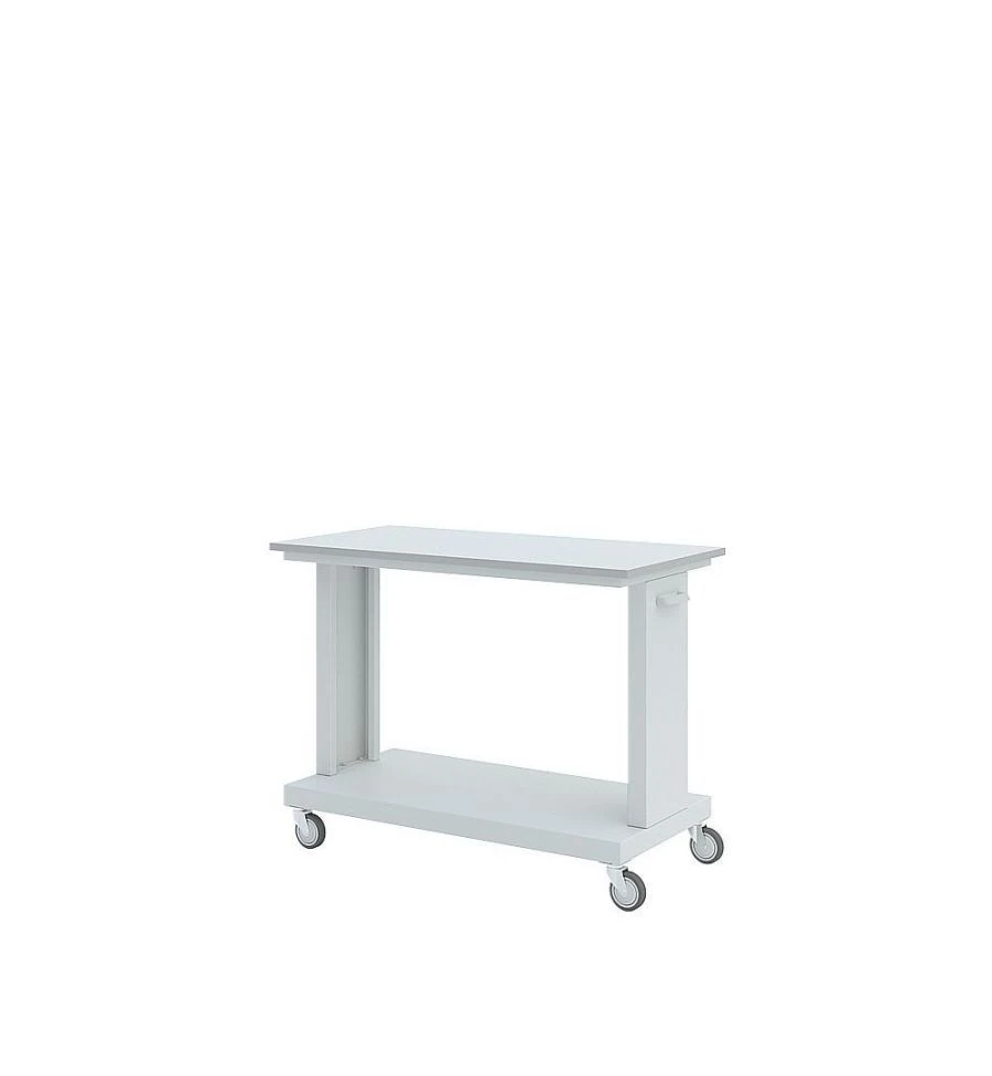 Wooden Mobile Table for Laboratory Equipment