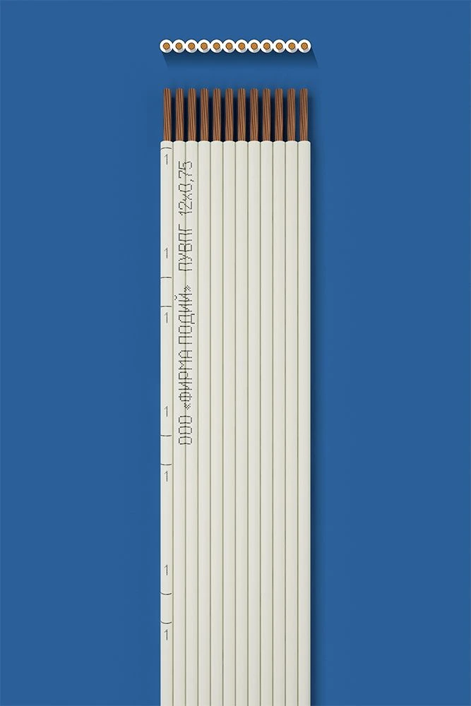 سلك تركيب مسطح PUVPG 12x0.75