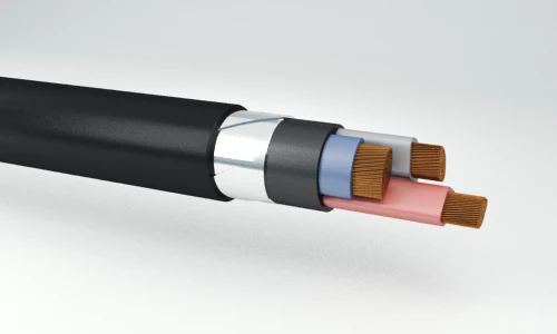 Power Cables with Plastic Insulation 0.66 kV VKaShvng(A)