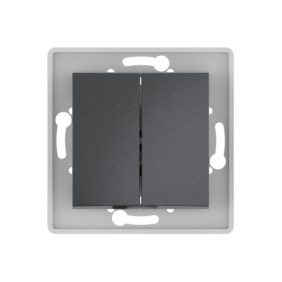 CADUCEUS ALING PRESTIGE Dual Switch 10A 250V Graphite, Model 6006.2