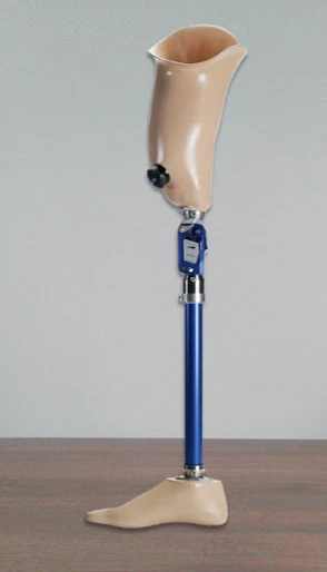 طرف اصطناعي للحمام لاستبدال الورك