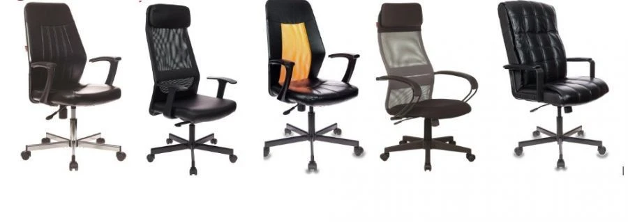 Comfortable Echair Series Chairs with Armrests