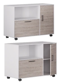 Mobile Rolling Cabinet TPR-V2