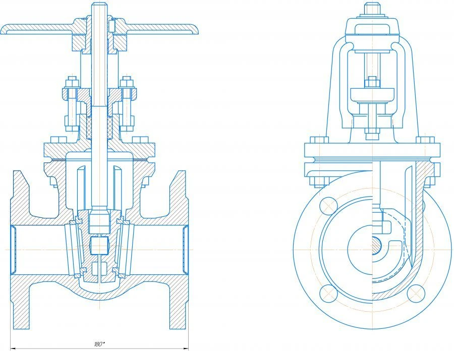 Wedge Cast Iron Gate Valve DN 50