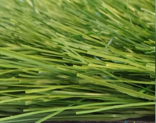 Artificial Grass Covering Grass 65/10 PU