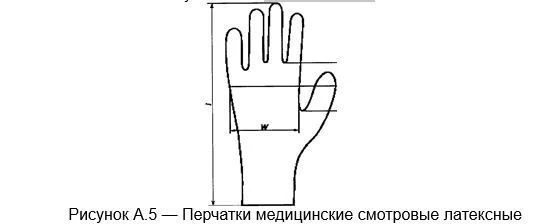 Medical Examination Latex Gloves - Sterile Disposable