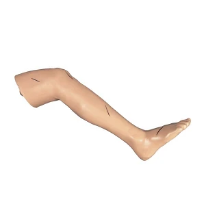 Life-size Adult Right Leg Model for Surgical Skills Training, M