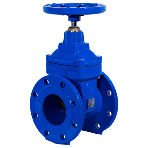 Flanged Gate Valve with Rubberized Wedge Ridval
