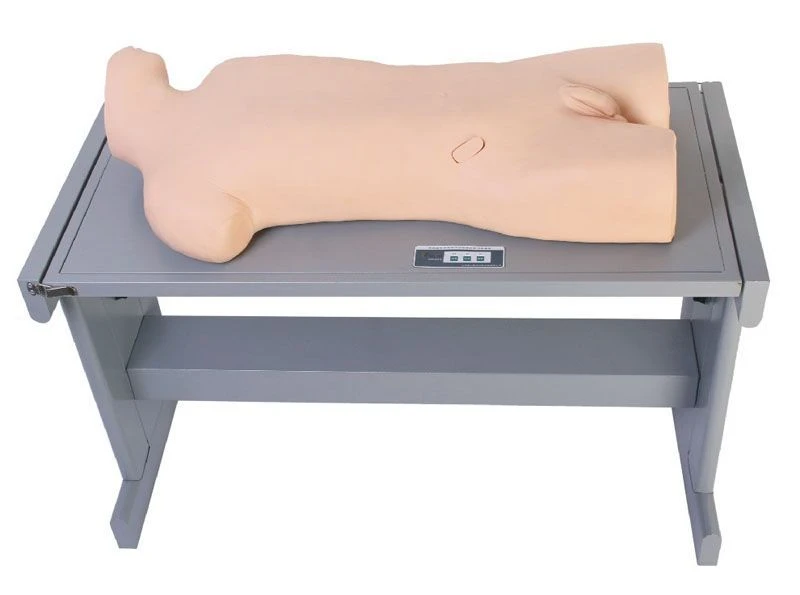 Pleural Cavity and Liver Abscess Puncture Training Model CK819