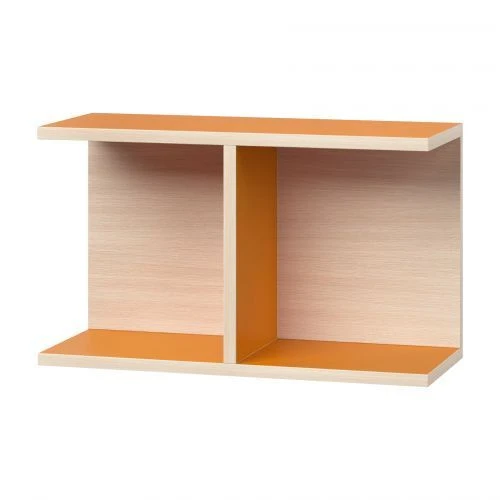 Wall-mounted Book Showcase