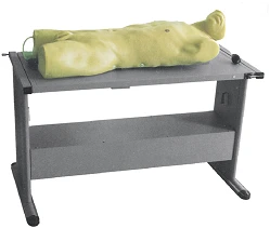 نموذج تدريب على سحب السوائل من التجويف الجنبي وخراج الكبد، SK819