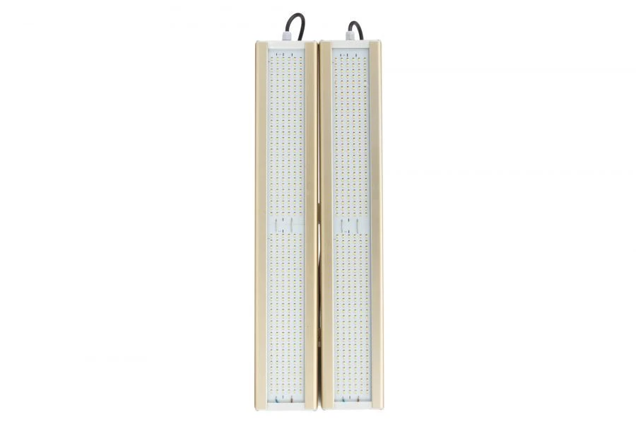 وحدة الإضاءة LED GOLD K-2، 5000 كلفن، 248 واط