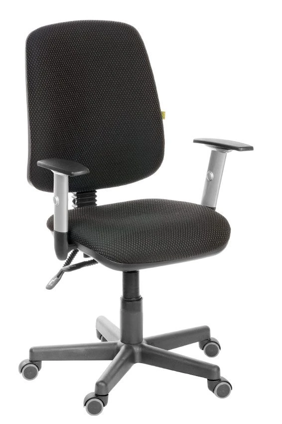 Ergonomic Didal Chair with Adjustable Armrests