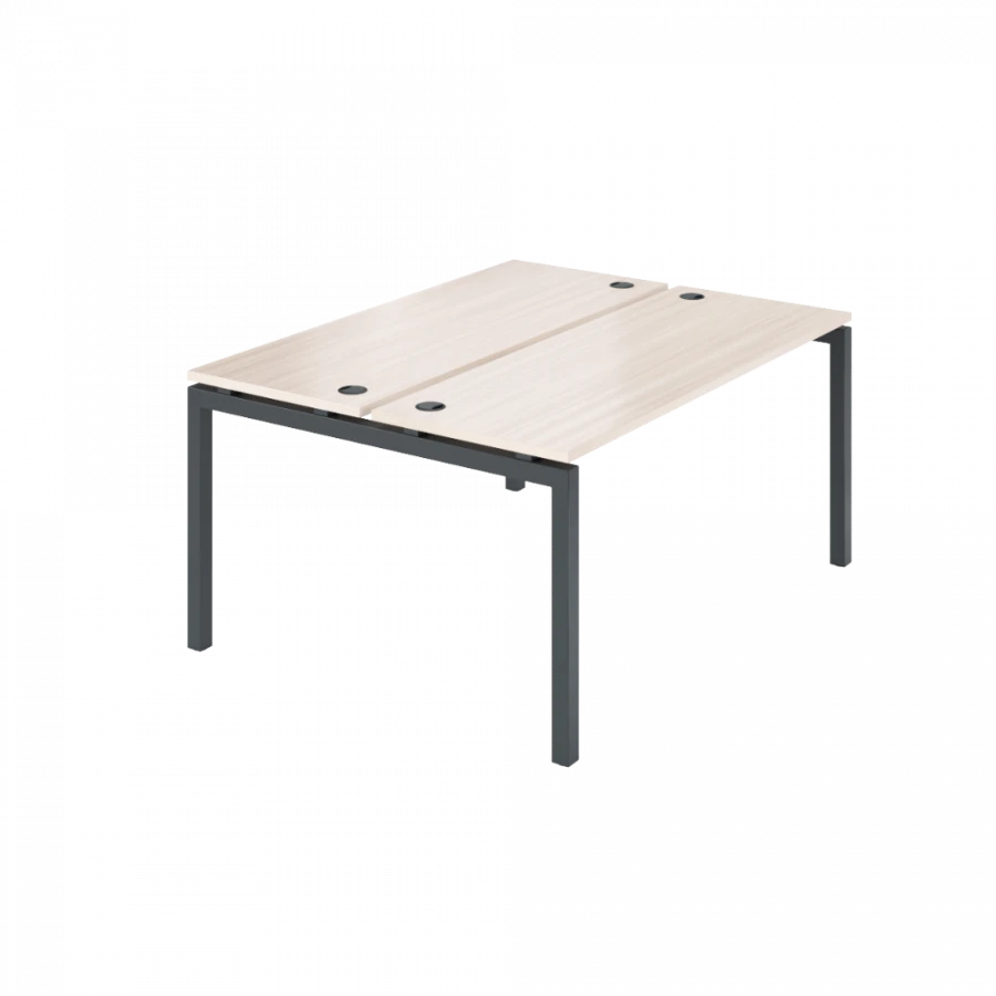 Double Workbench AMB-004.60 for Two Workstations