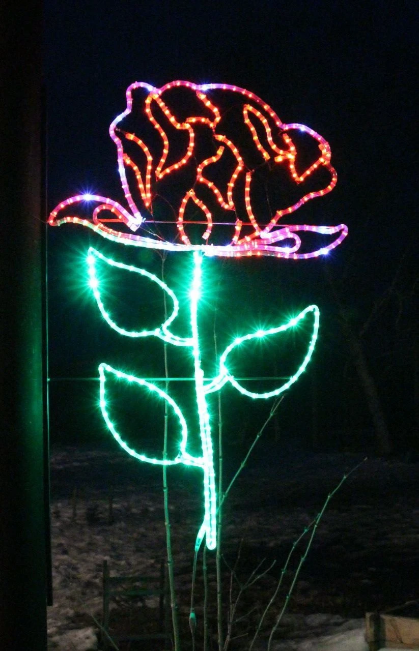 مصباح LED خارجي زخرفي "ماك" - جهاز مثبت على الحائط (تعديلات 220 فولت، 24 فولت، 12 فولت)