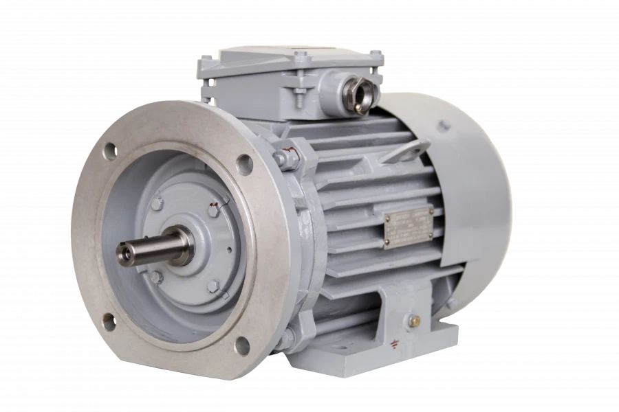RDM112 Three-Phase Induction Motor 2.2-6 kW