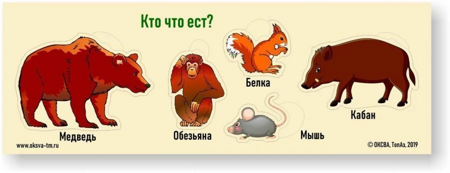 لعبة الحيوانات البرية - تعلم غذاء الحيوانات