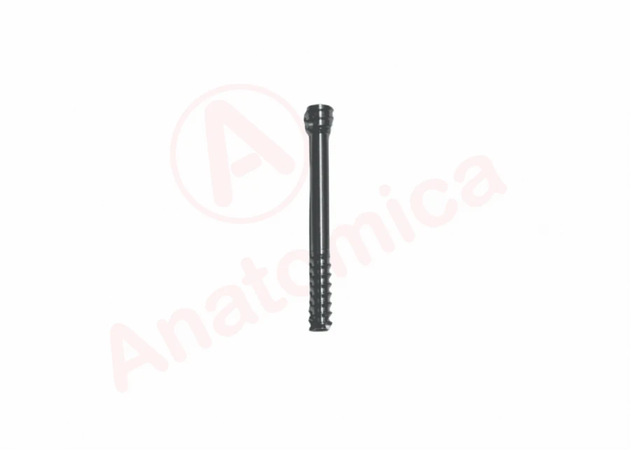 Compression Cannulated Screw for Bone Fractures