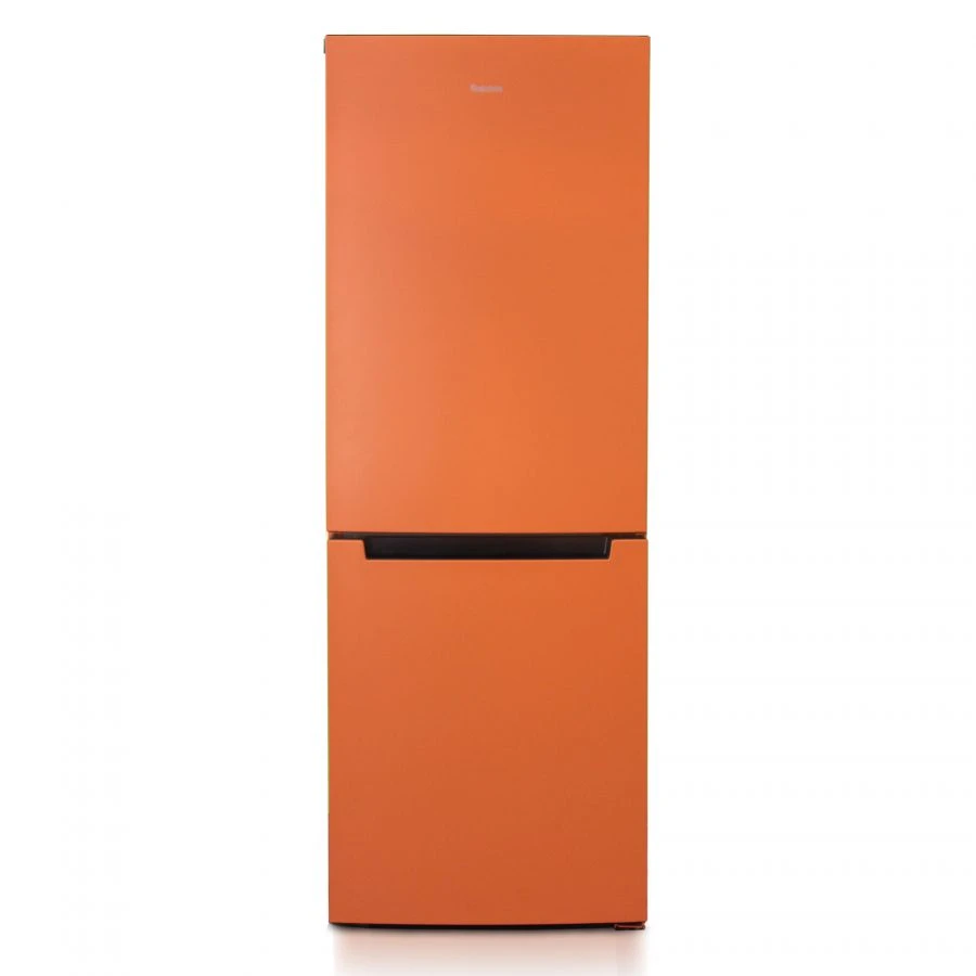 Two-Chamber Refrigerator-Freezer "Birusa T820NF