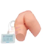 Adult Human Body Model for Enema Training with Electronic Controller, Art. 15A