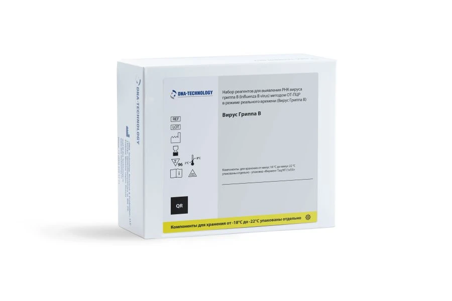 Influenza B Virus RNA Detection Reagent Kit for Real-Time RT-PCR
