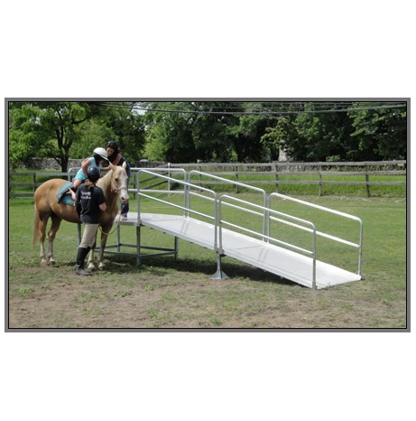 Hippotherapy Ramp for Therapeutic Horse Riding