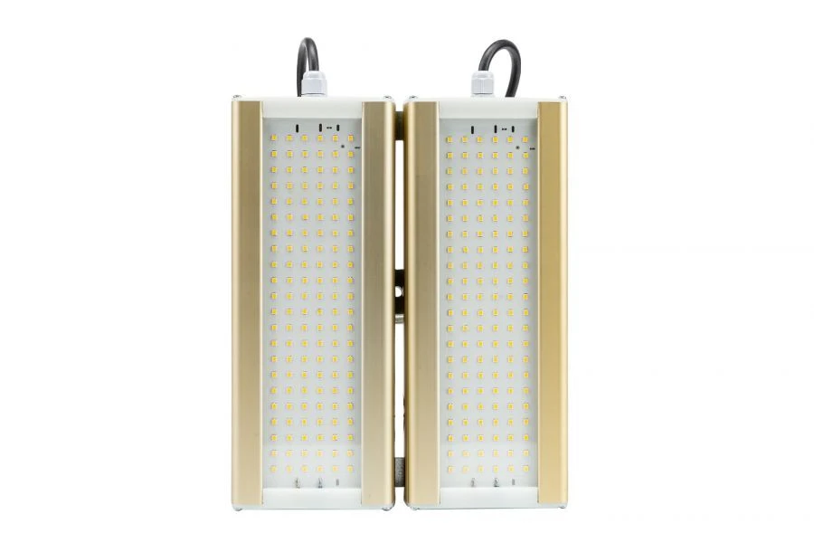 LED Light Module GOLD, Universal U-2, 3000K, 96W