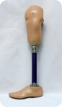 طرف صناعي للساق modular للنمو الجزئي