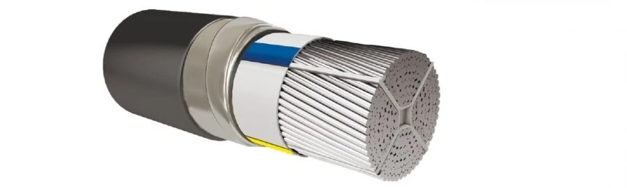 Power Cable with Plastic Insulation up to 1 kV AПвБШв