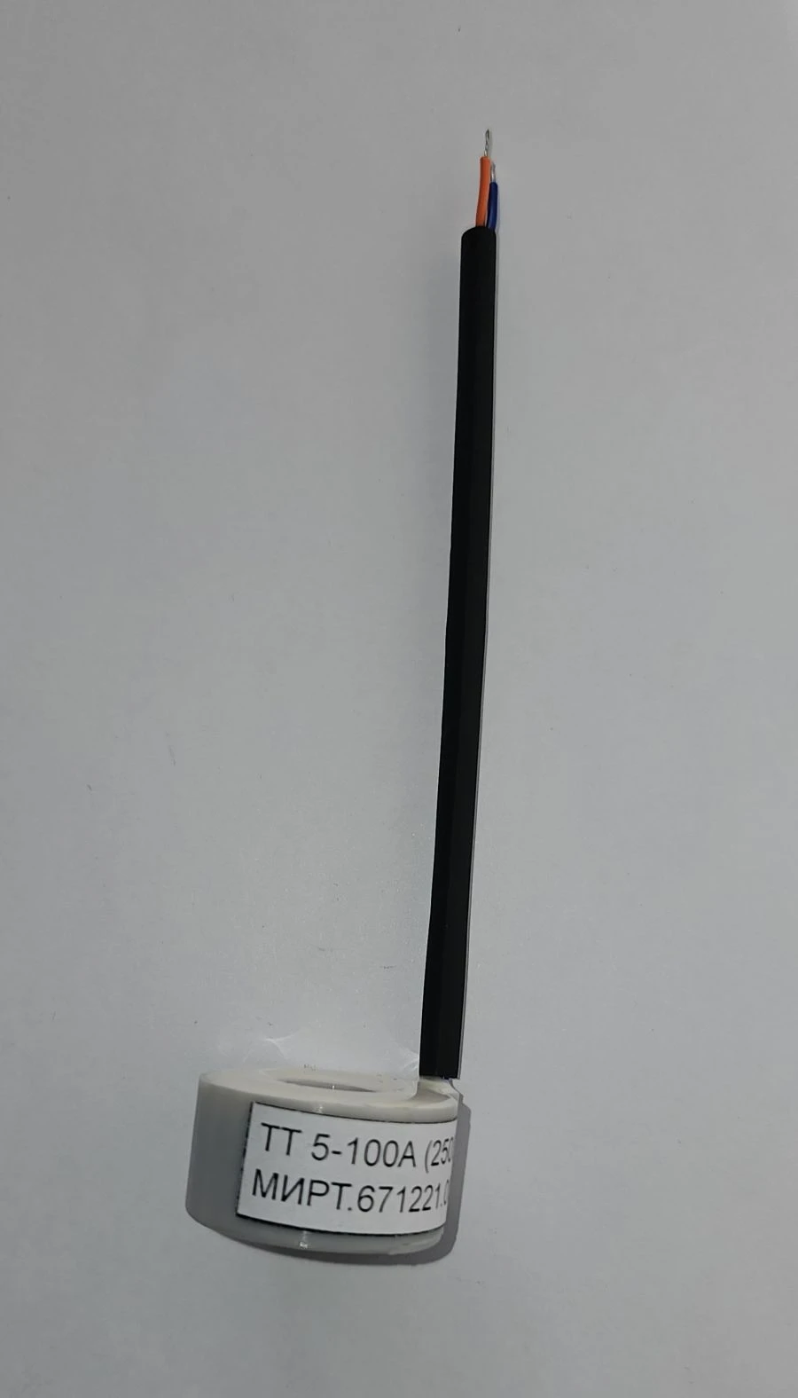 Current Transformer 100A (Model 2)