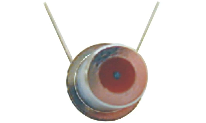 Photodiode FD-252 for High-Speed Light Detection