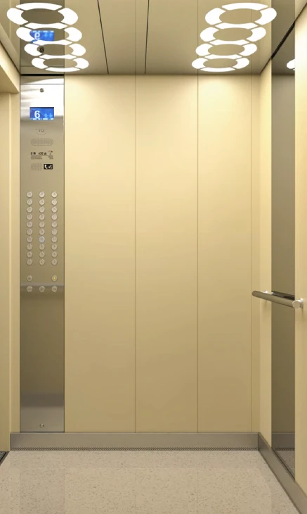 Electric Passenger Lift Aurora Model